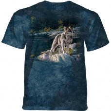 TSHIRT NIGHTFALL